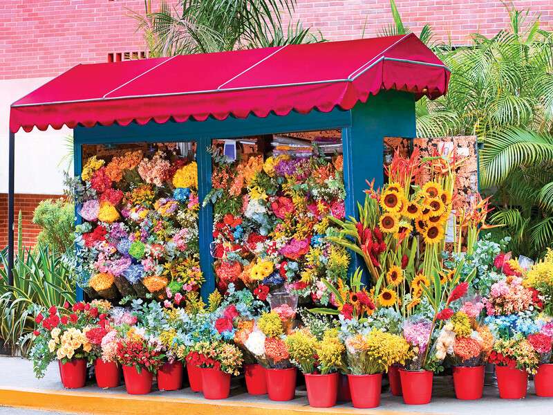 магазин за цветя на открито онлайн пъзел