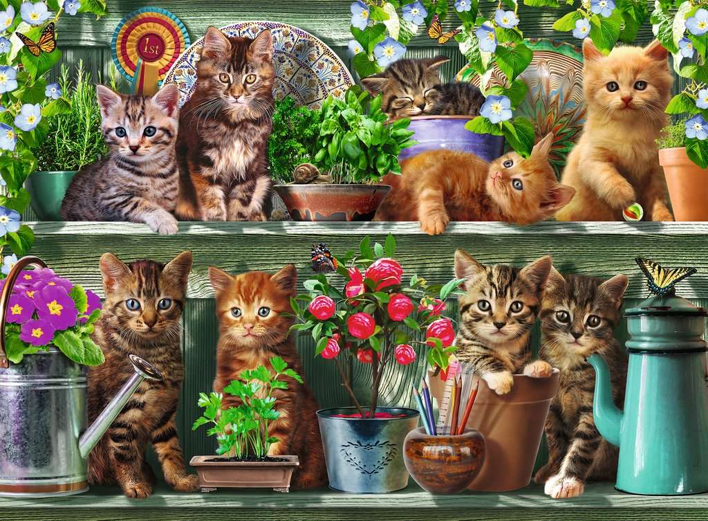 gatitos en estantes entre flores rompecabezas en línea