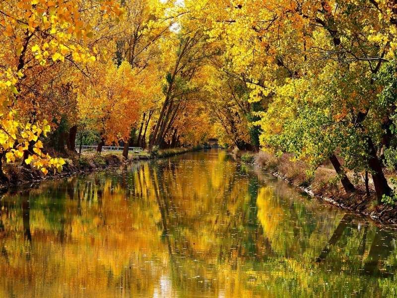 Eine schöne Herbstlandschaft am Fluss Puzzlespiel online