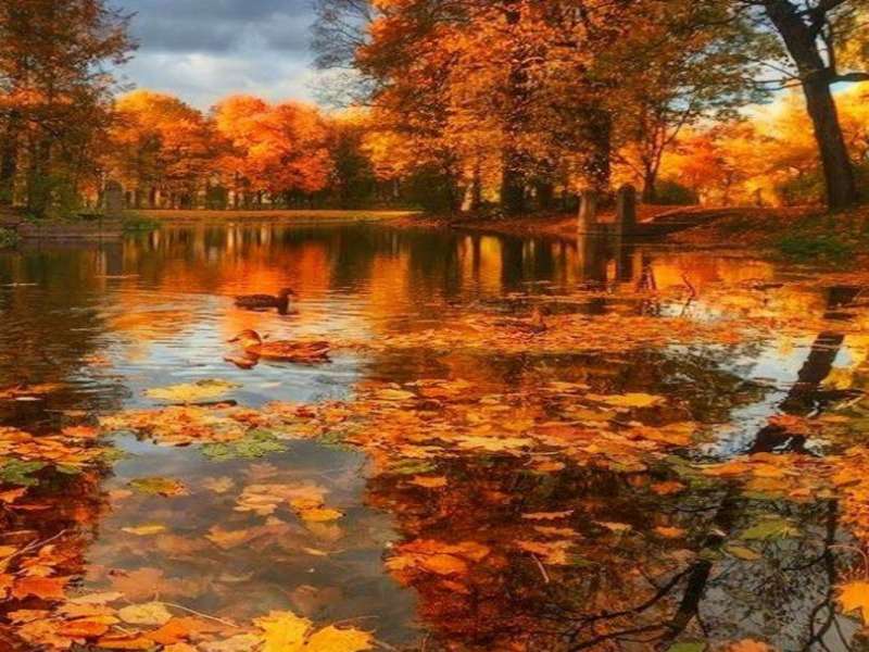 Осенняя река-Осенняя река, вид потрясающий :) пазл онлайн