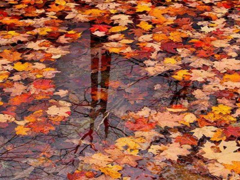 自然の秋の鏡:) ジグソーパズルオンライン