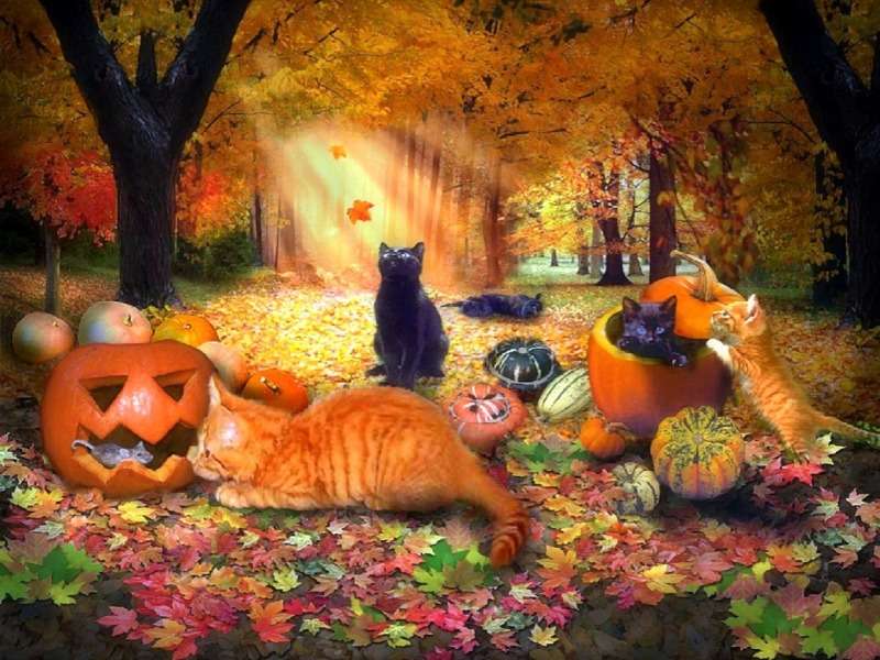 Katzenspiele im Herbstwald, ein schöner Anblick :) Online-Puzzle