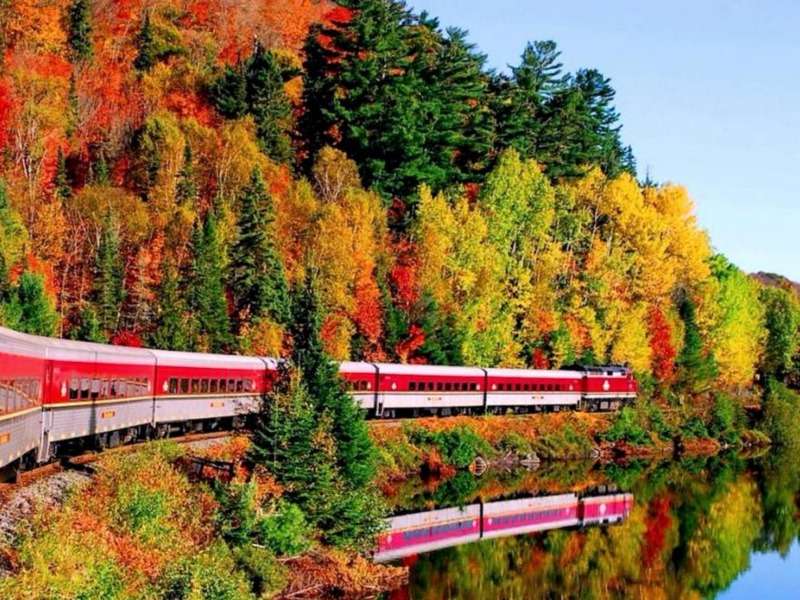 Árboles de otoño y un tren en el espejo de agua, un milagro. rompecabezas en línea