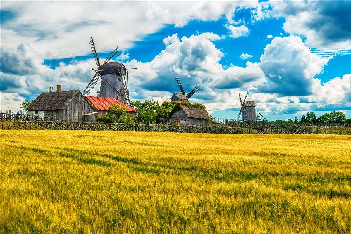 Estland Saaremaa Windmühlen Puzzlespiel online