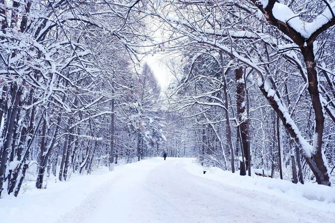 krajobraz zimowy pussel på nätet