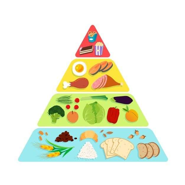 харчова піраміда пазл онлайн