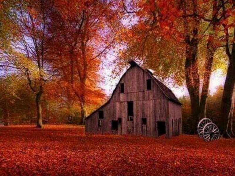 Autumn Leaves and Old Barn-Старий сарай і осінь онлайн пазл