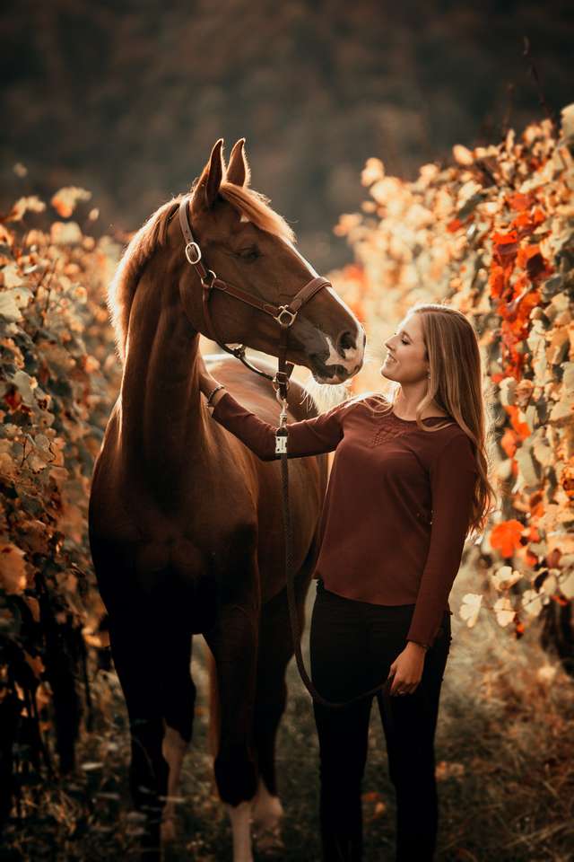 Женщина с лошадью – большая дружба онлайн-пазл