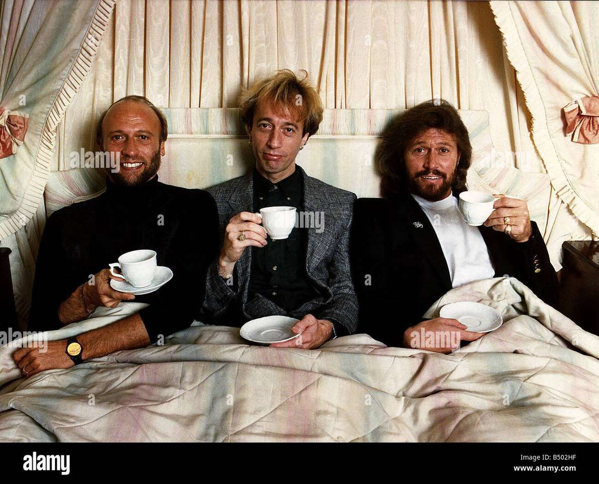 Bee Gees Online-Puzzle