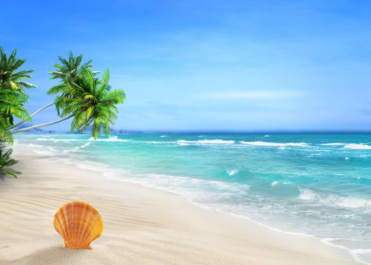 Піщаний пляж у тропіках пазл онлайн