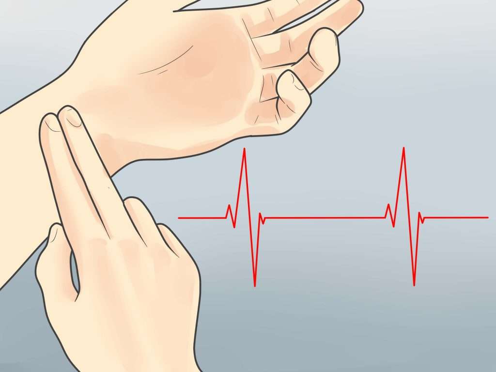 frequenza del battito cardiaco puzzle online