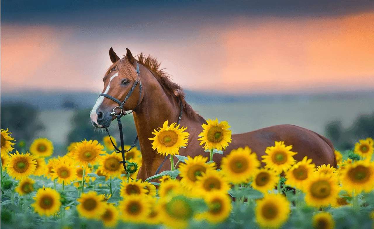 in sunflowers jigsaw puzzle online