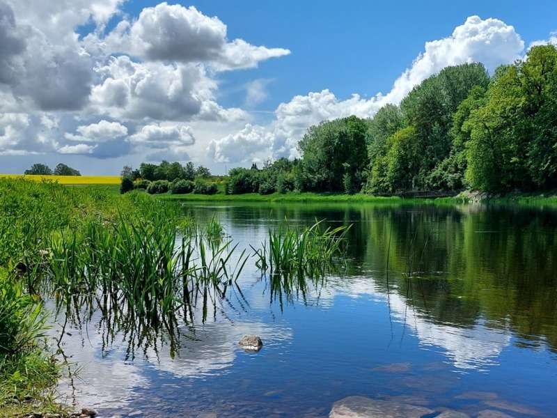 Summer Pond -Літній ставок-гарне місце :) онлайн пазл