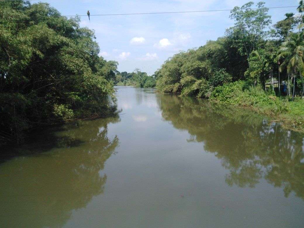 Кокосова река Сеговия онлайн пъзел