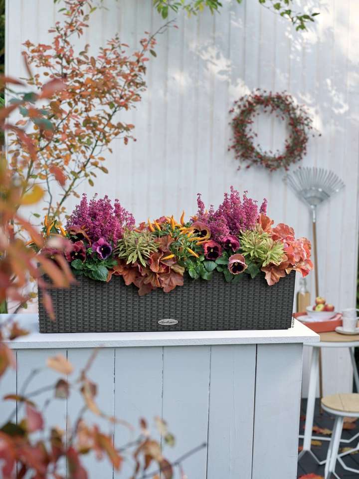 Autumn arrangement on the terrace online puzzle