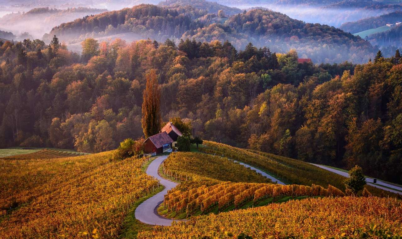 Gebäude auf einer Weinplantage in einem slowakischen Dorf Online-Puzzle