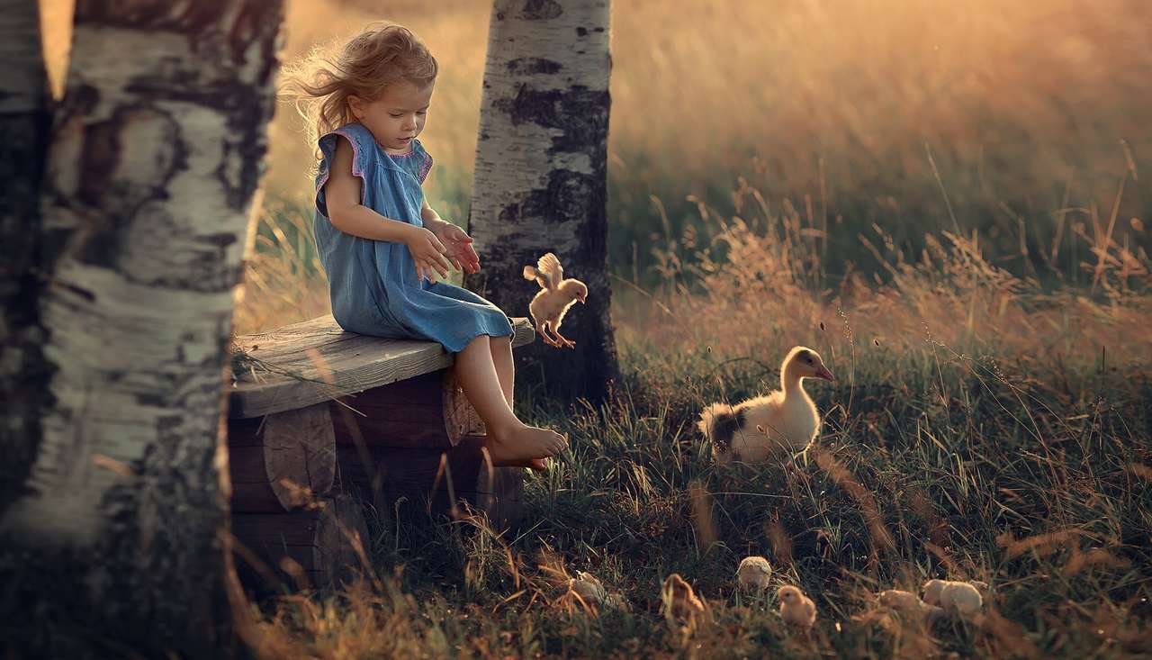 Dívka s husou a kuřaty skládačky online