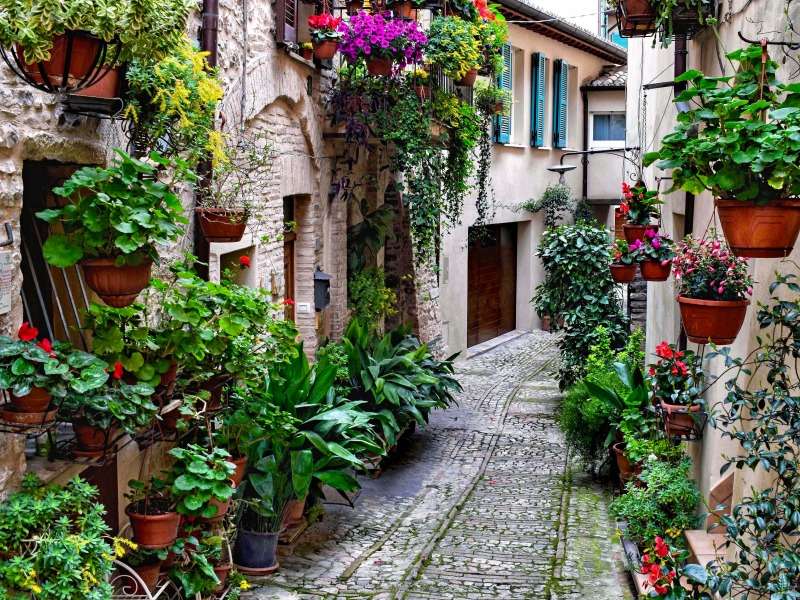 Прекрасна алея, пълна с цветя, красива алея онлайн пъзел