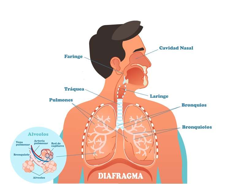 DIAFRAGMA rompecabezas en línea