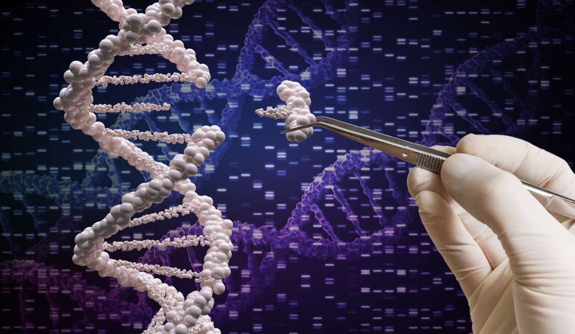 Manipulación ADN rompecabezas en línea