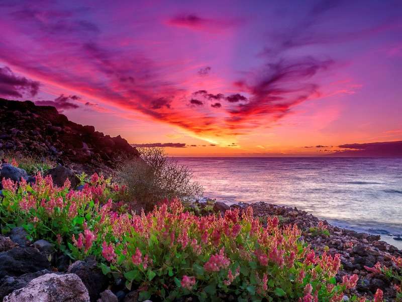 Vacker solnedgång över havet pussel på nätet