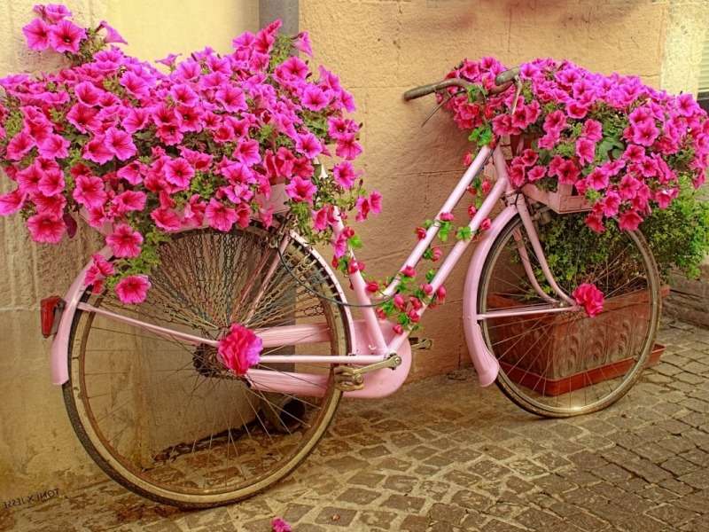 Virág aranyos bicikli, valami szép kirakós online