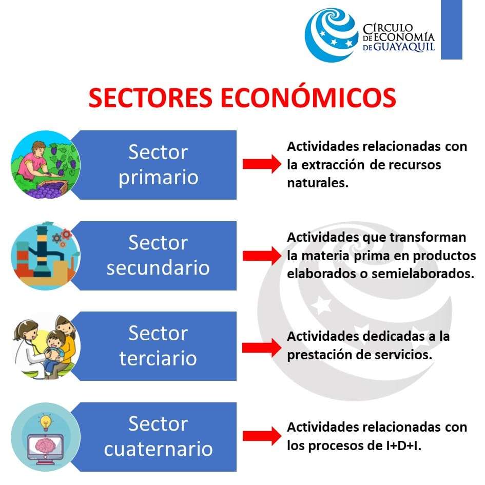 Economic sectors online puzzle