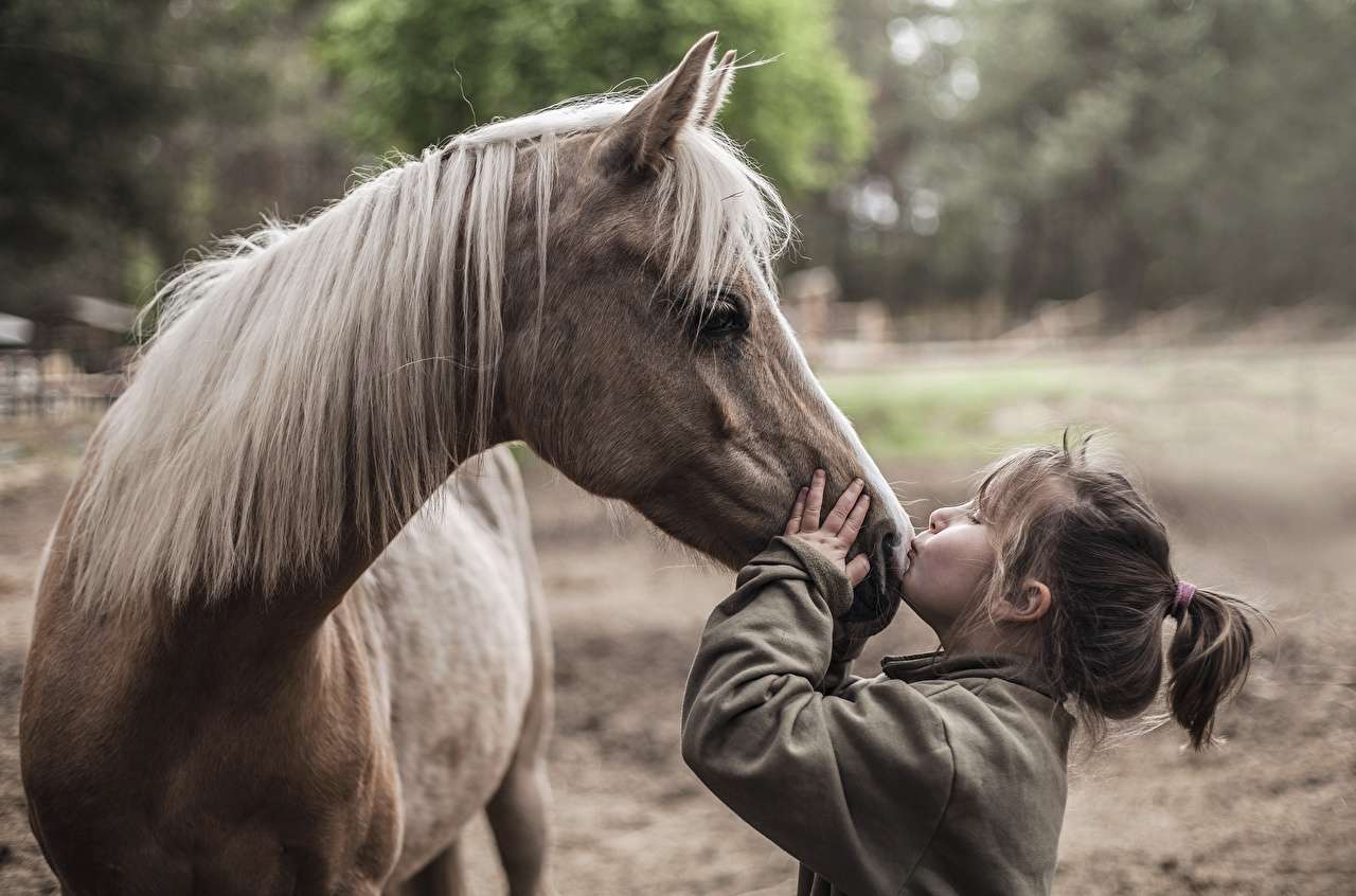 En tjej med en häst Pussel online