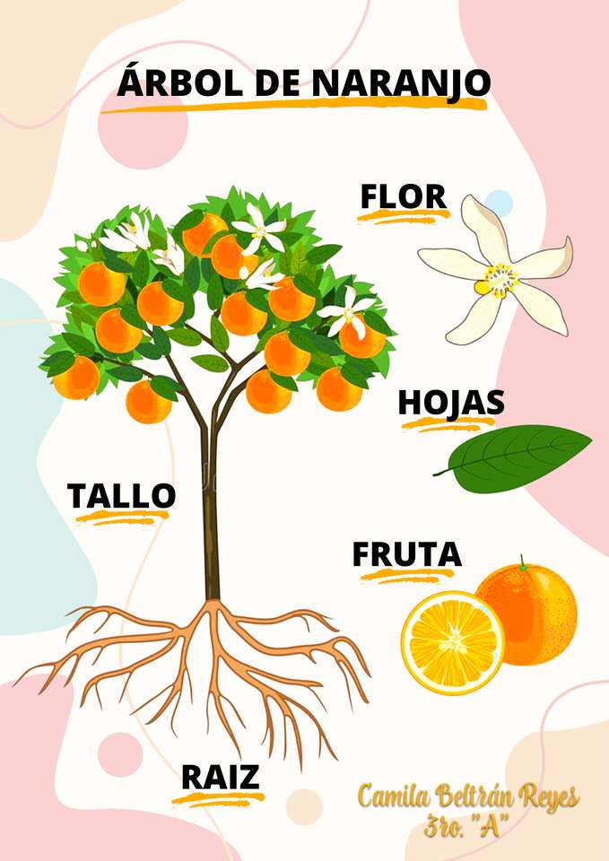 апельсиновое дерево онлайн-пазл