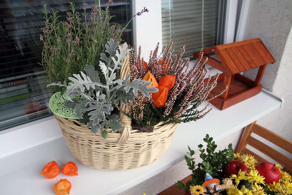 Есенни цветя на перваза на прозореца онлайн пъзел