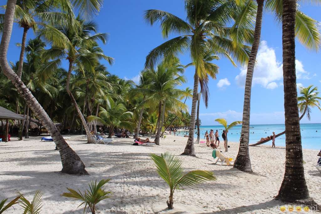 Острів Саона - тропічний острів онлайн пазл