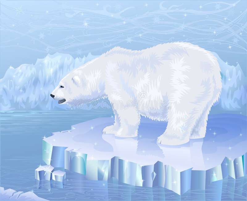 polar bear online puzzle