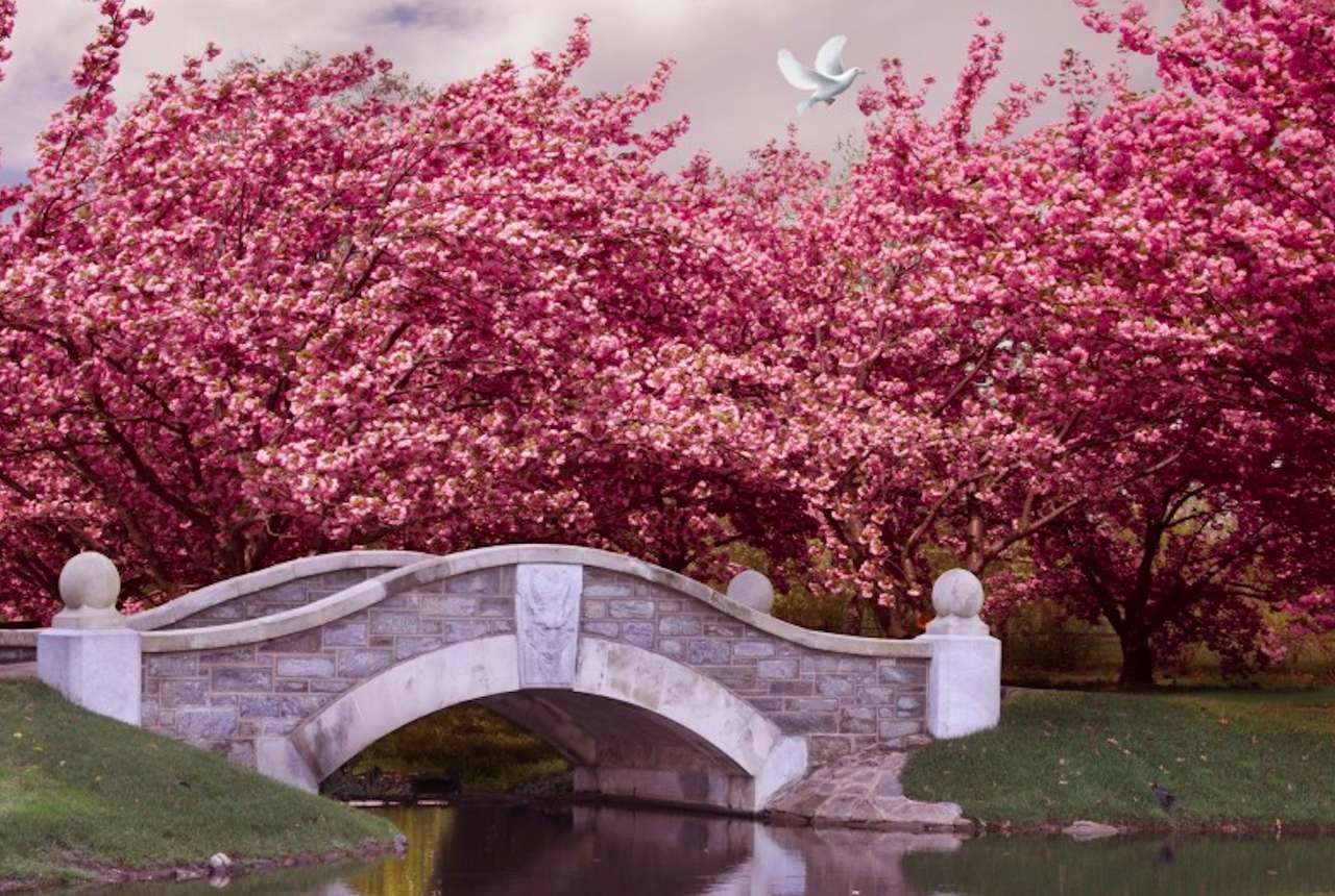 La belleza de un jardín japonés y los cerezos en flor rompecabezas en línea
