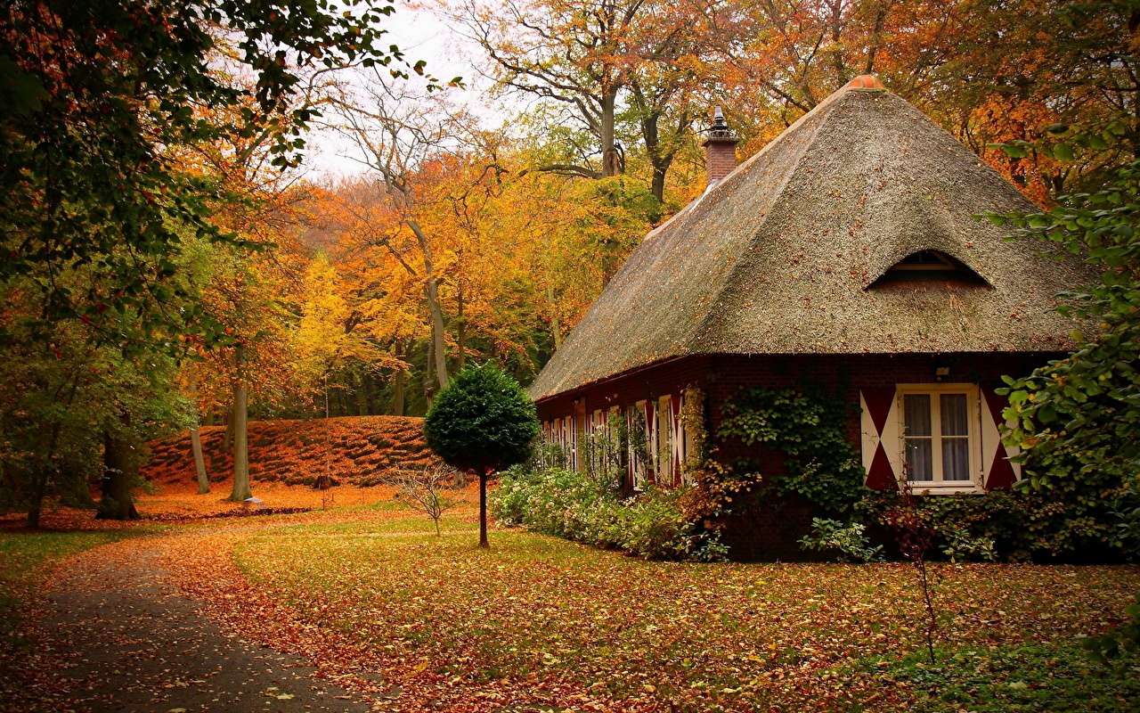 casa de campo en una zona remota en otoño rompecabezas en línea