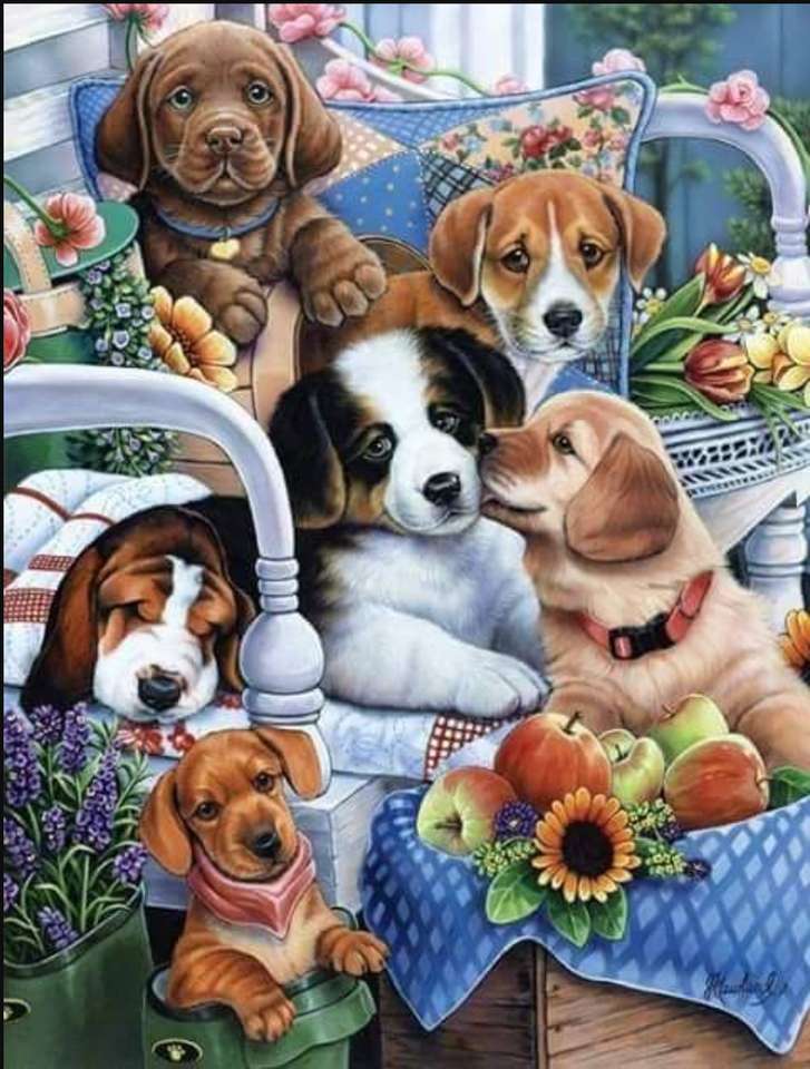 CANI A RIPOSO puzzle online