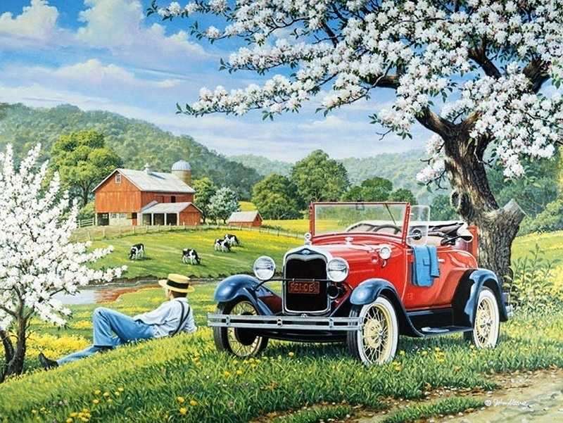 Odihnește-te într-un peisaj rural lângă mașină jigsaw puzzle online