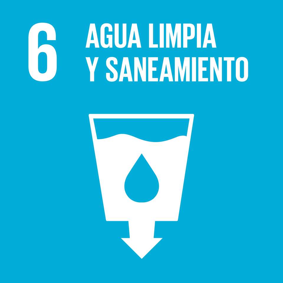 SDG 6 ACQUA puzzle online