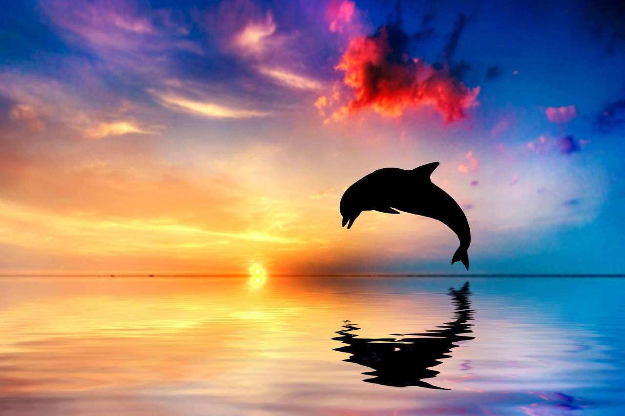 Dolfijn met silhouette online puzzel
