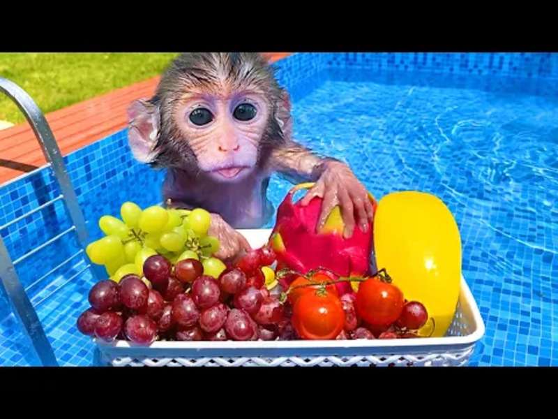 Мила маленька мавпочка Бібі №383 онлайн пазл