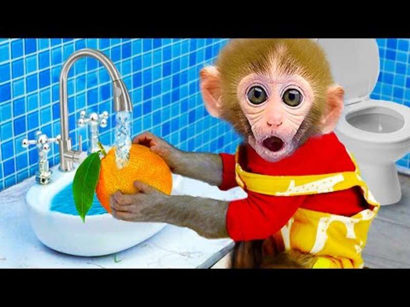 Сладка малка маймунка Биби #385 онлайн пъзел