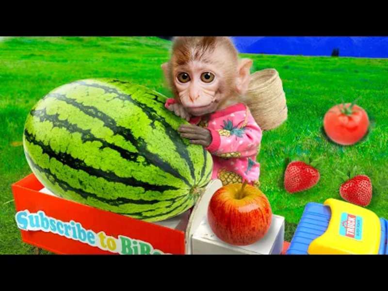 Сладка малка маймунка Биби #386 онлайн пъзел