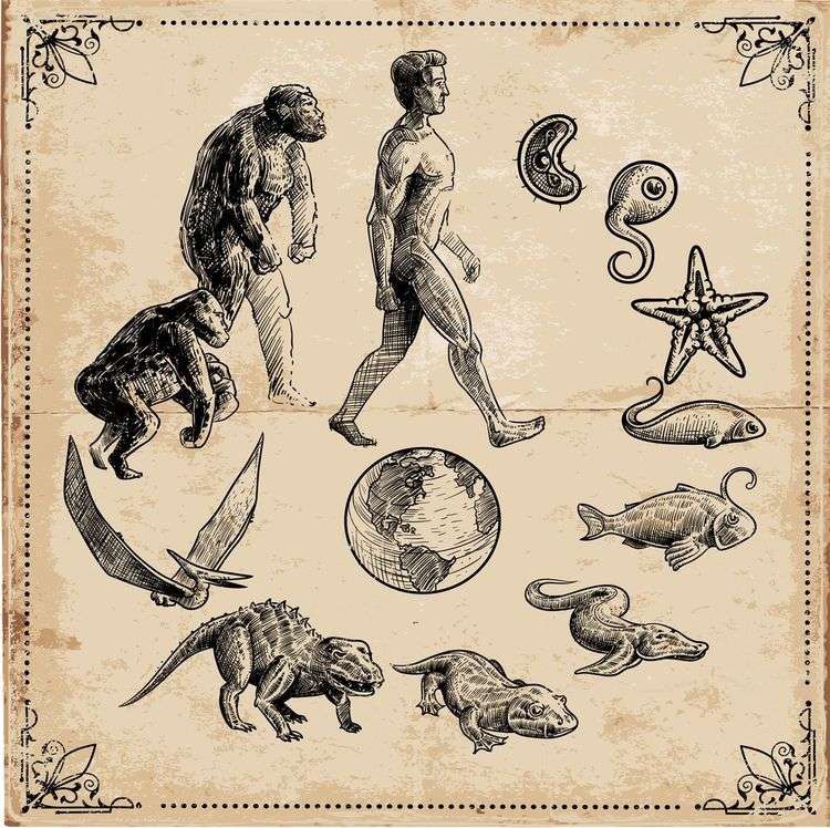 Evolution online puzzle