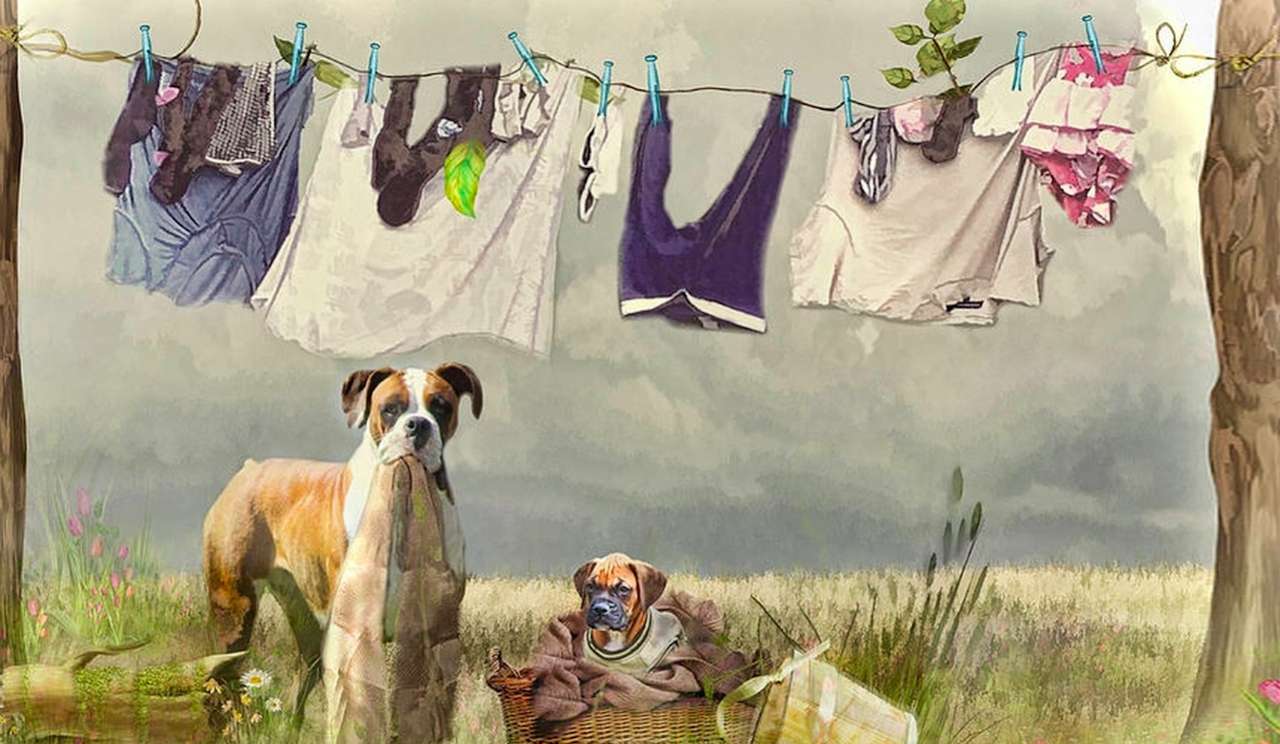 Dia de lavar roupa e valentes ajudantes :) puzzle online