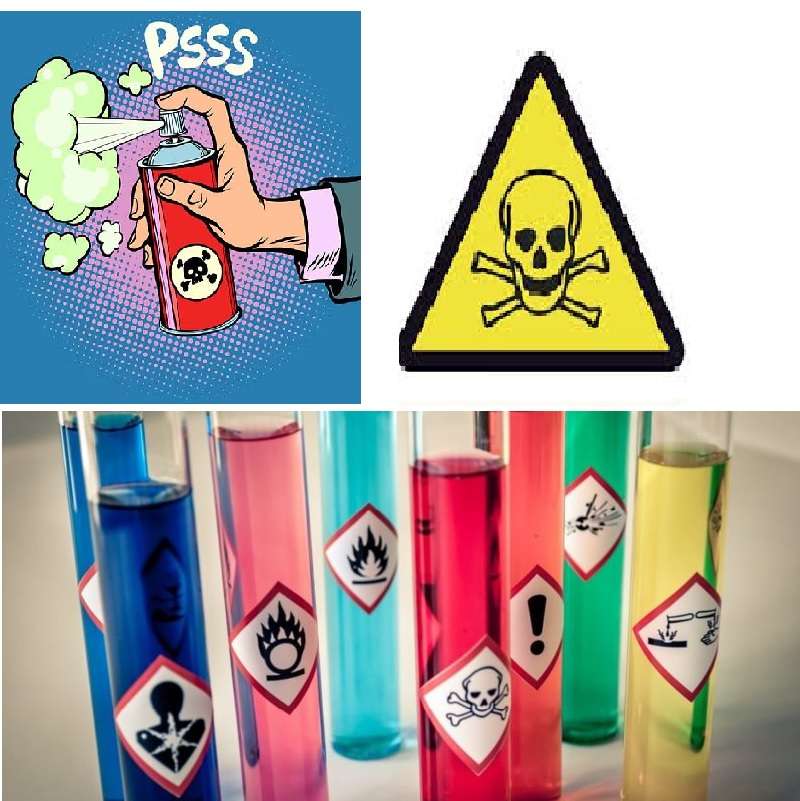 CHEMICAL RISK online puzzle