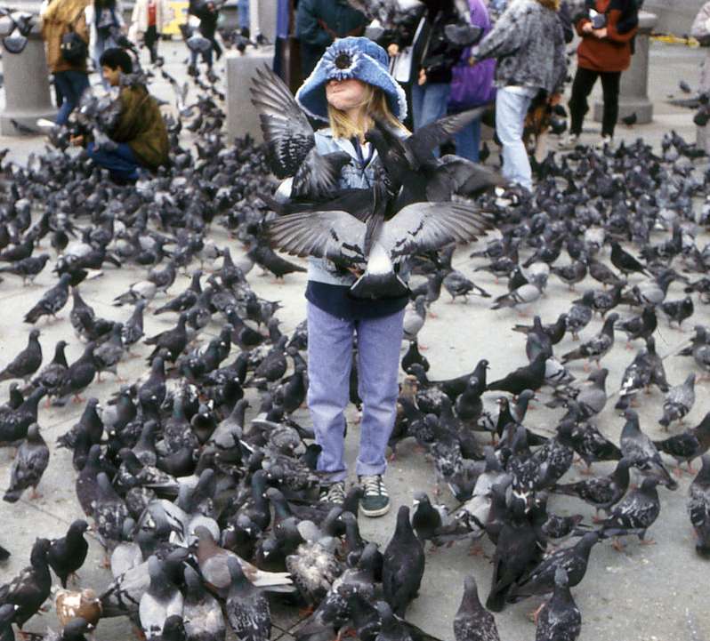 Dívka s holuby skládačky online