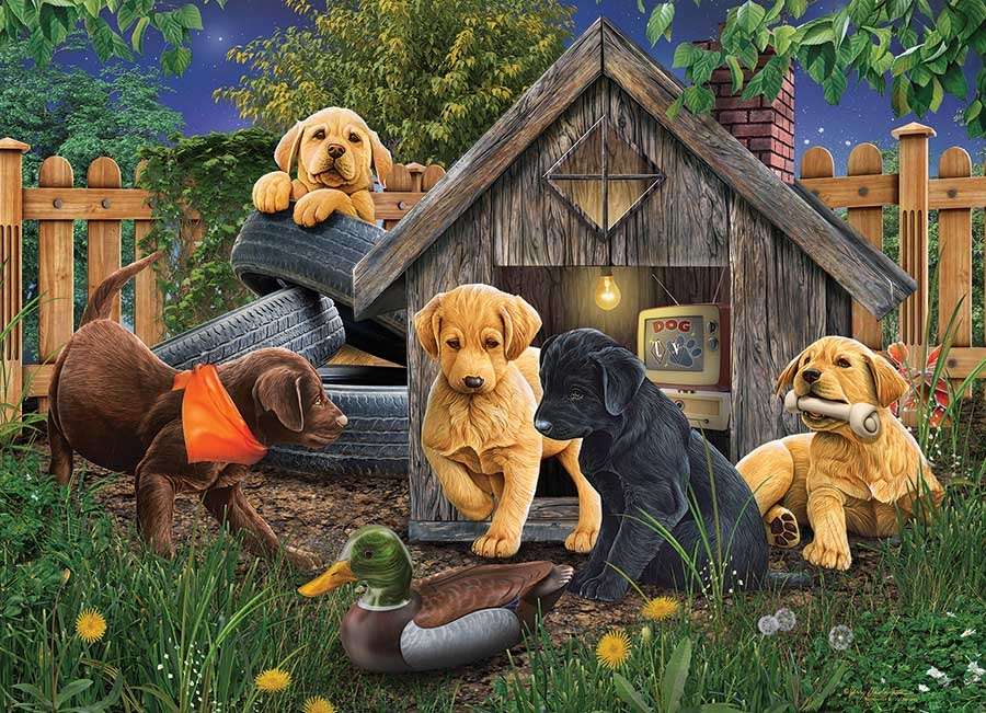 Dogs at the kennel in the yard online puzzle