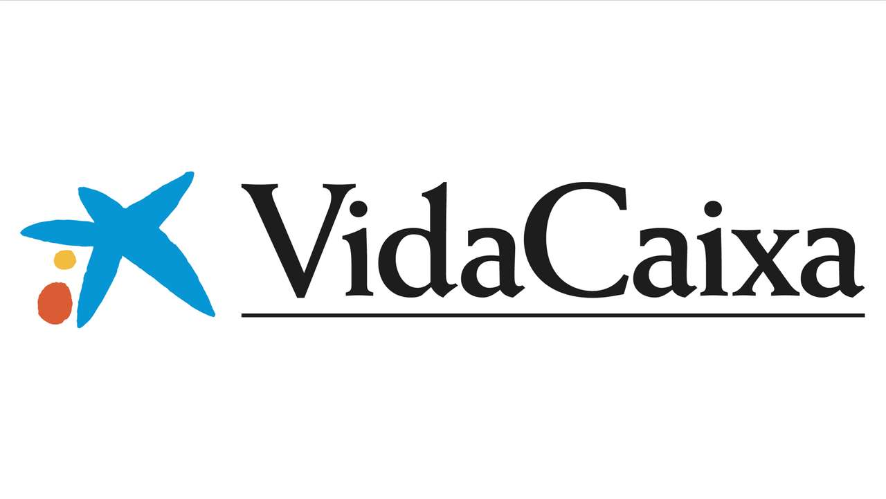 assicurazione vita caixa puzzle online