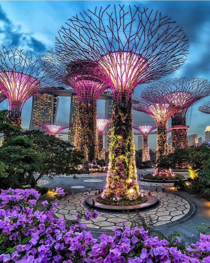 солнечные деревья - сингапур онлайн-пазл
