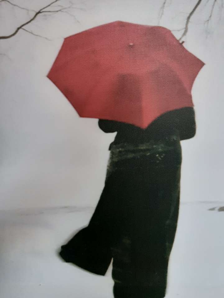 Einsamer Spaziergang unter einem Regenschirm Online-Puzzle