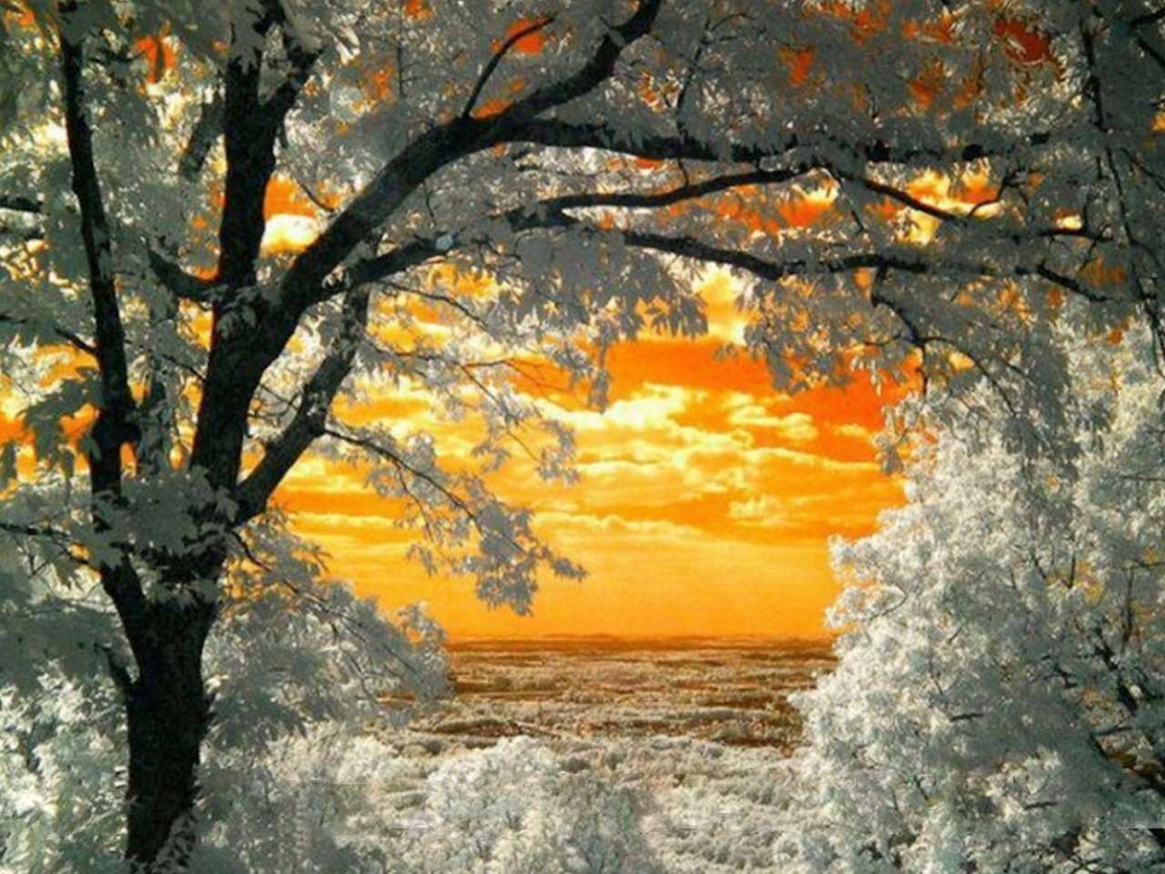 Beau coucher de soleil d'hiver, givre sur les arbres puzzle en ligne